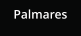 Palmares